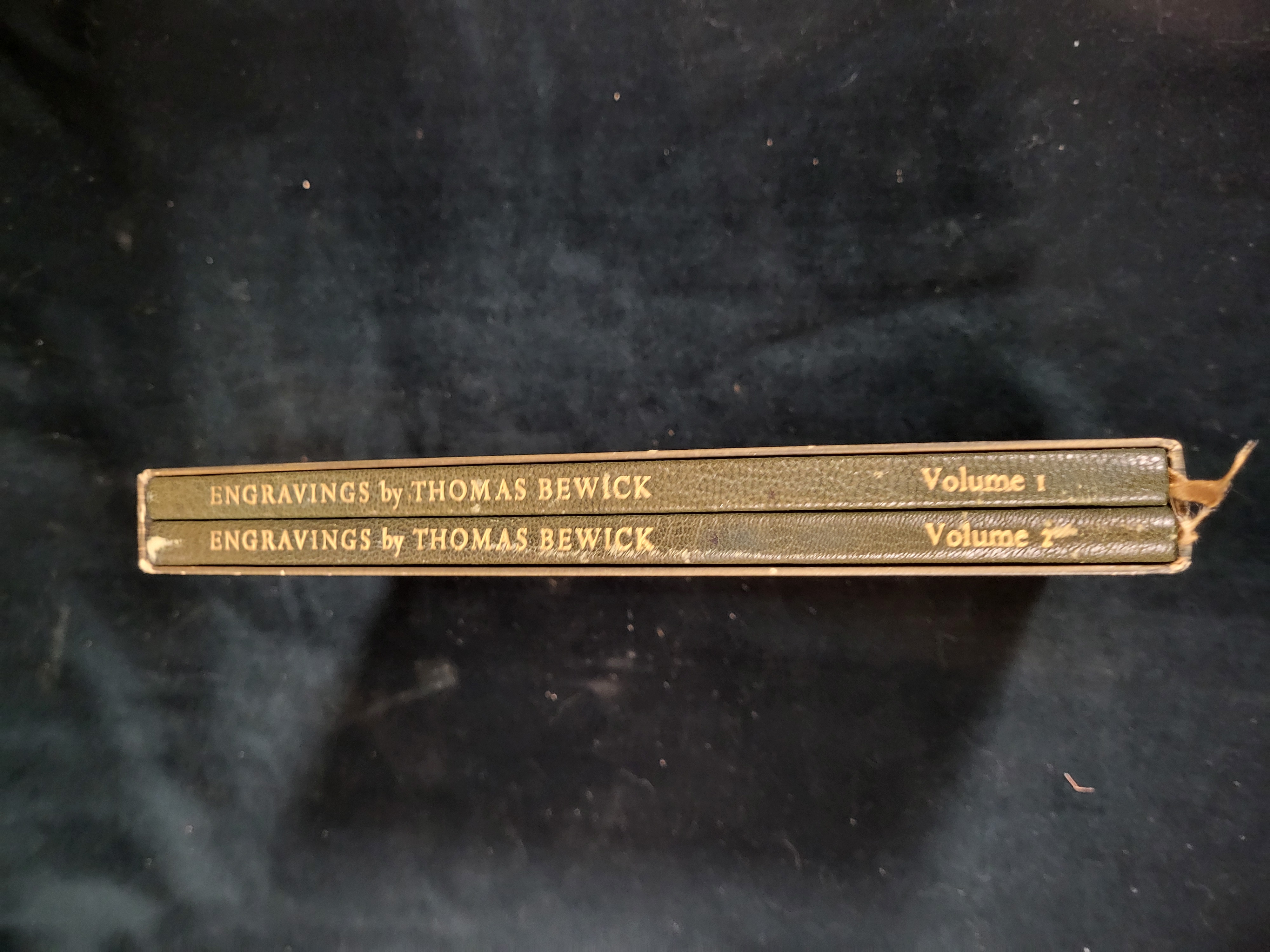 21 Engravings By Thomas Bewick (2 Volumes Completer with slipcase)