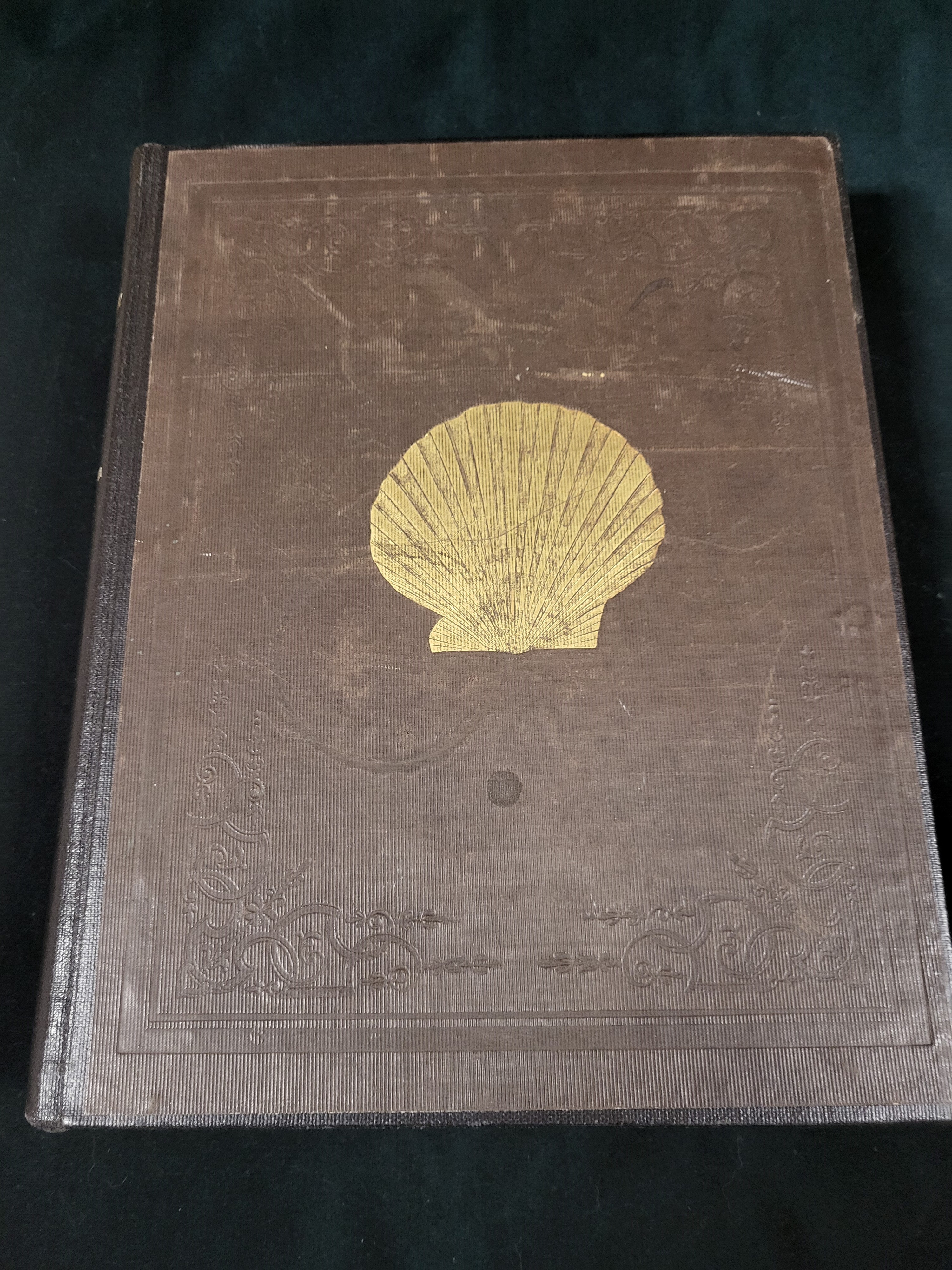 Zoology of New-York, or the New-York Fauna: Part V, Mollusca and Part VI, Crustacea