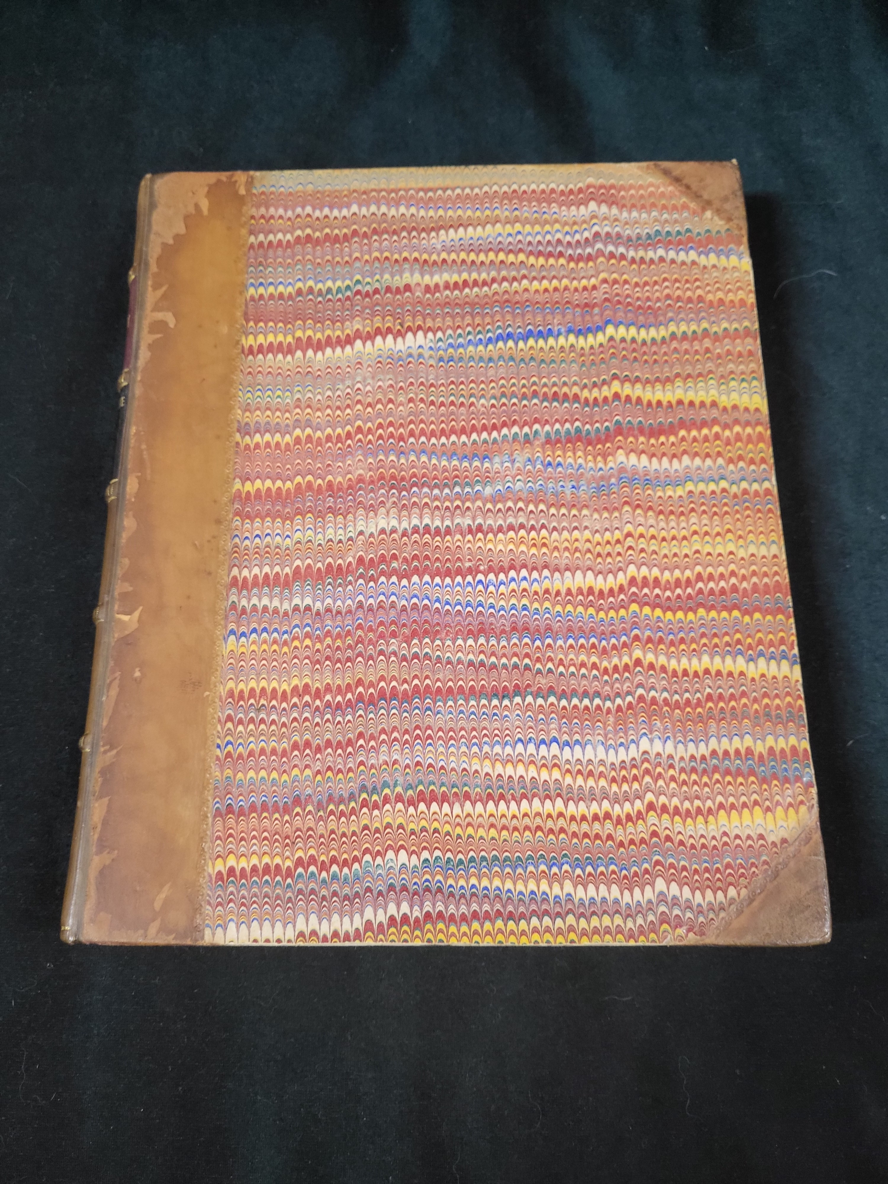 Mikrographische Beitrage zur Naturgeschichte der wirbellosen Thiere [Two Volumes Complete in one book]