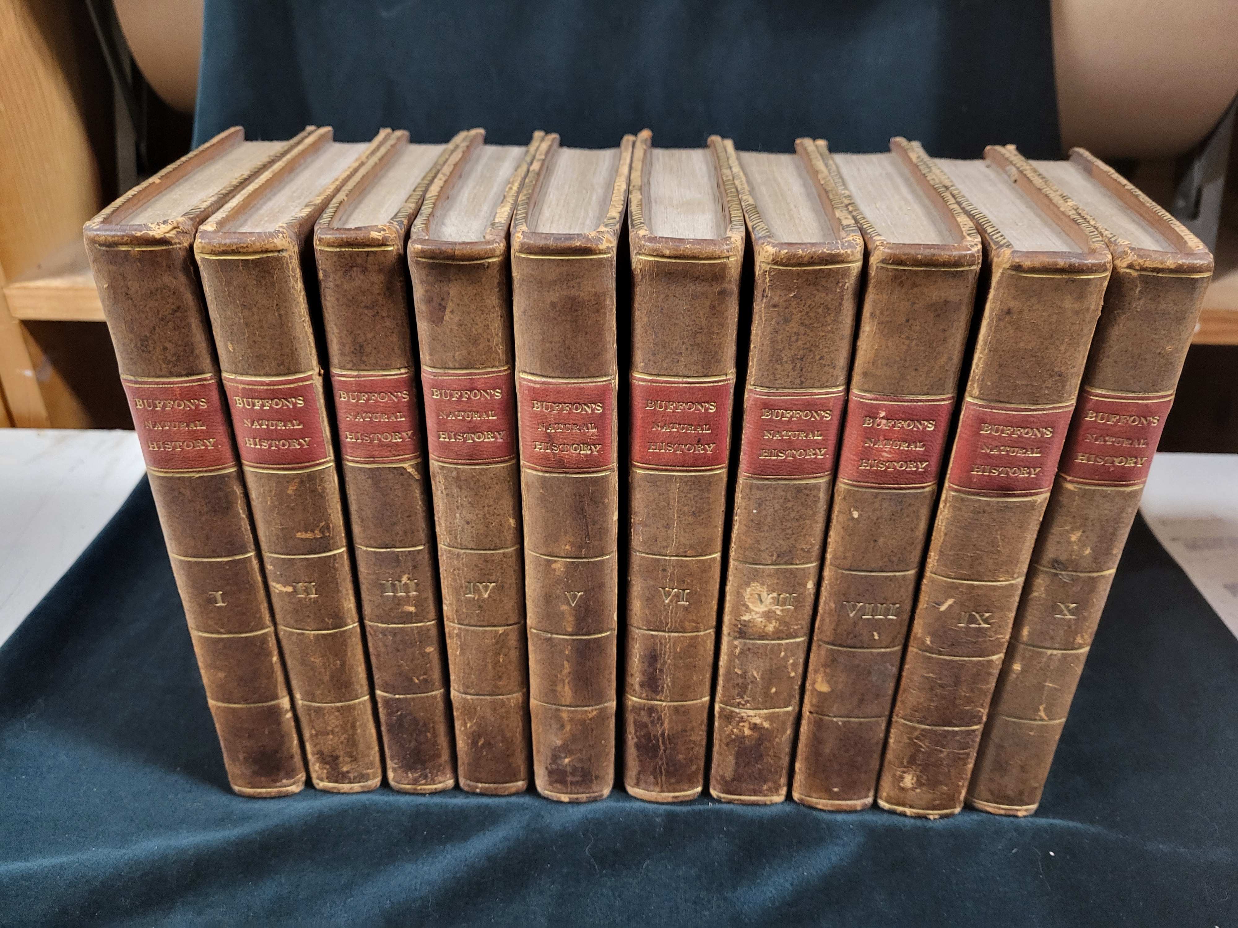Barr's Buffon: Buffon's Natural History [Complete in 10 Volumes]